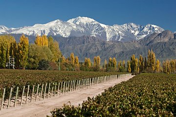 Argentine - Buenos Aires, Mendoza et les Andes